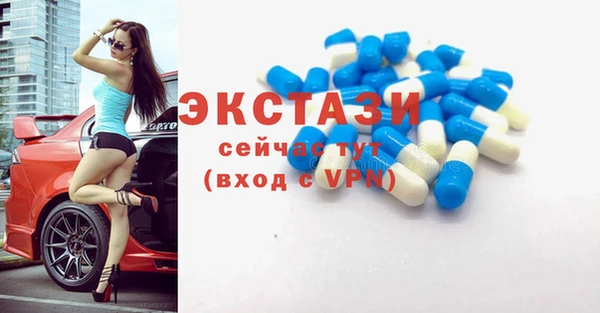 ECSTASY Богородск